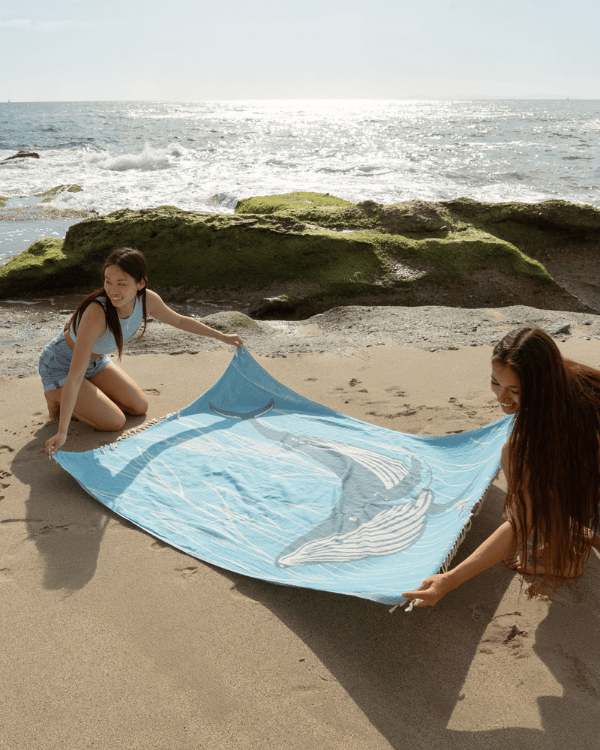 Whaley - Large - Image 6