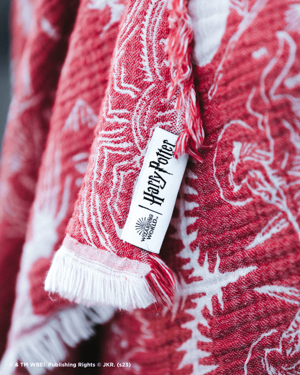 Magical Creatures - PARTY BLANKET