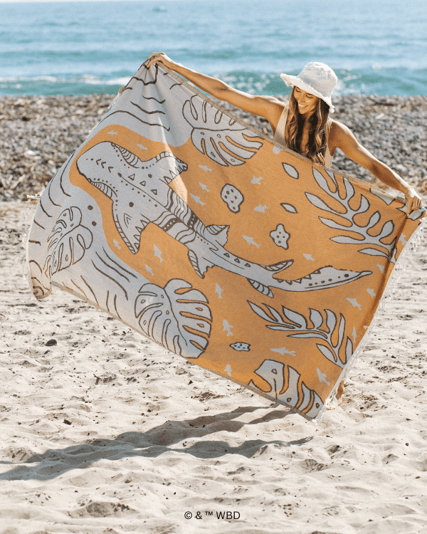 Monstera Shark Large - Discovery - Image 6