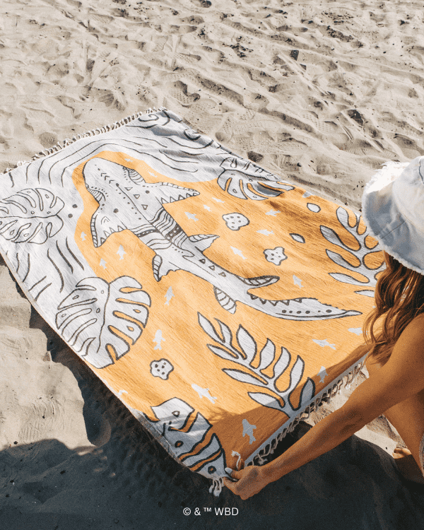 Monstera Shark Large - Discovery - Image 4