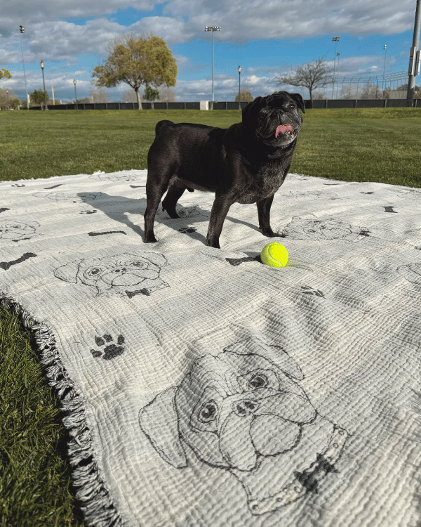 Alternative view of Pug - PARTY BLANKET