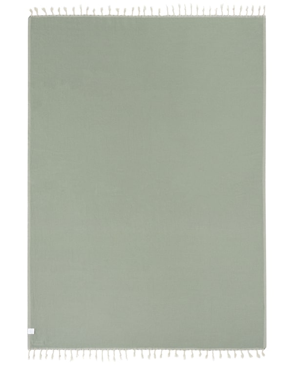 Sonoran Blanket Sage - Image 3