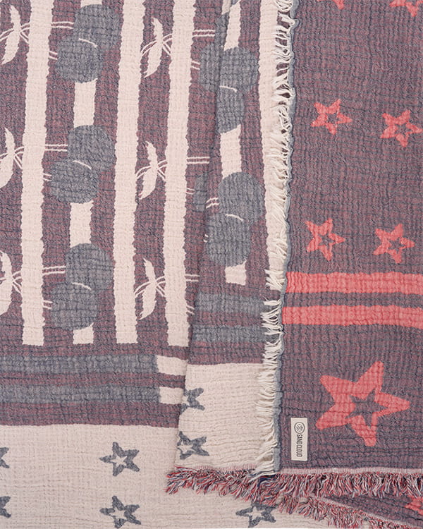 Cherry Stars & Stripes PARTY BLANKET - Image 5