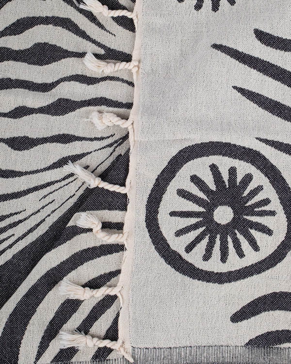 Zizzy the Zebra - Image 5