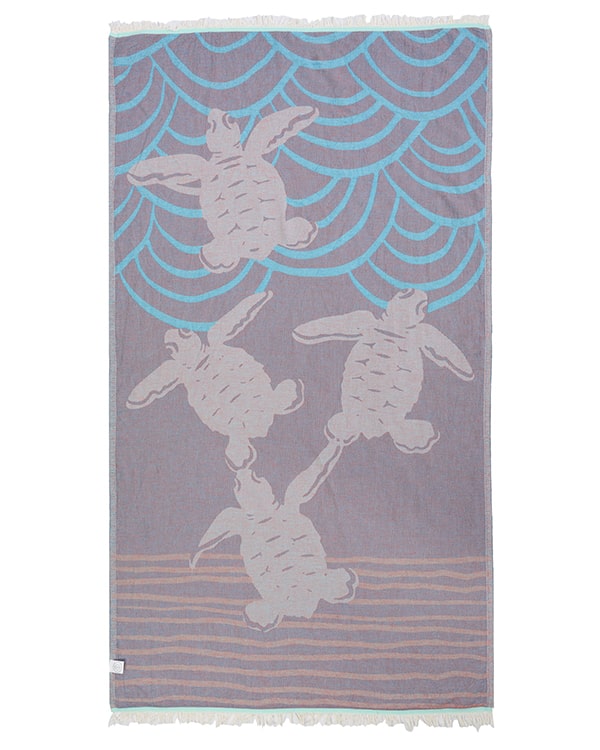 Alternative view of Baby Turtle Kemp's